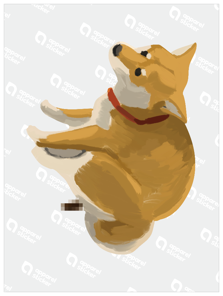 柴犬_03