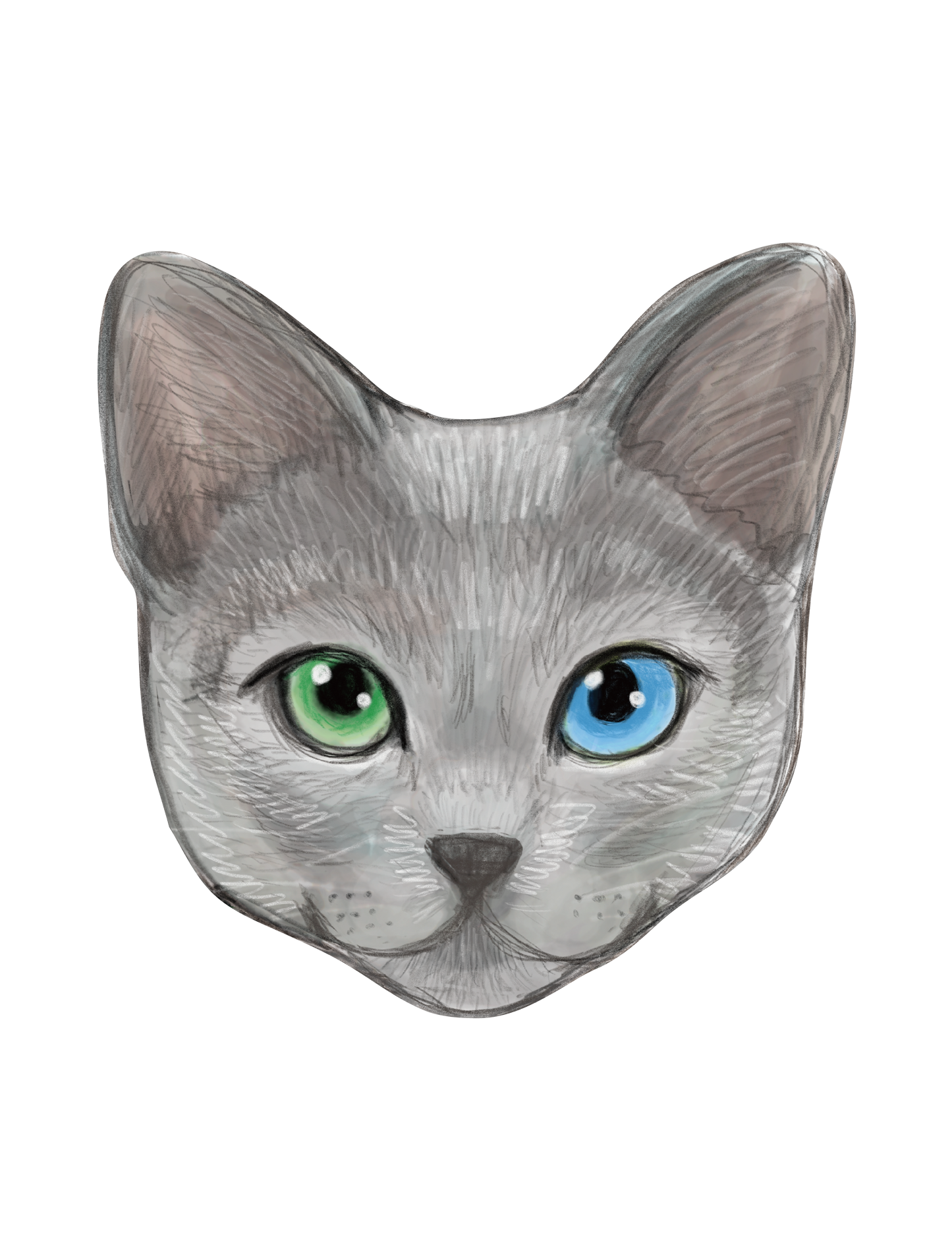 Refined Sketch Cat_russianblue