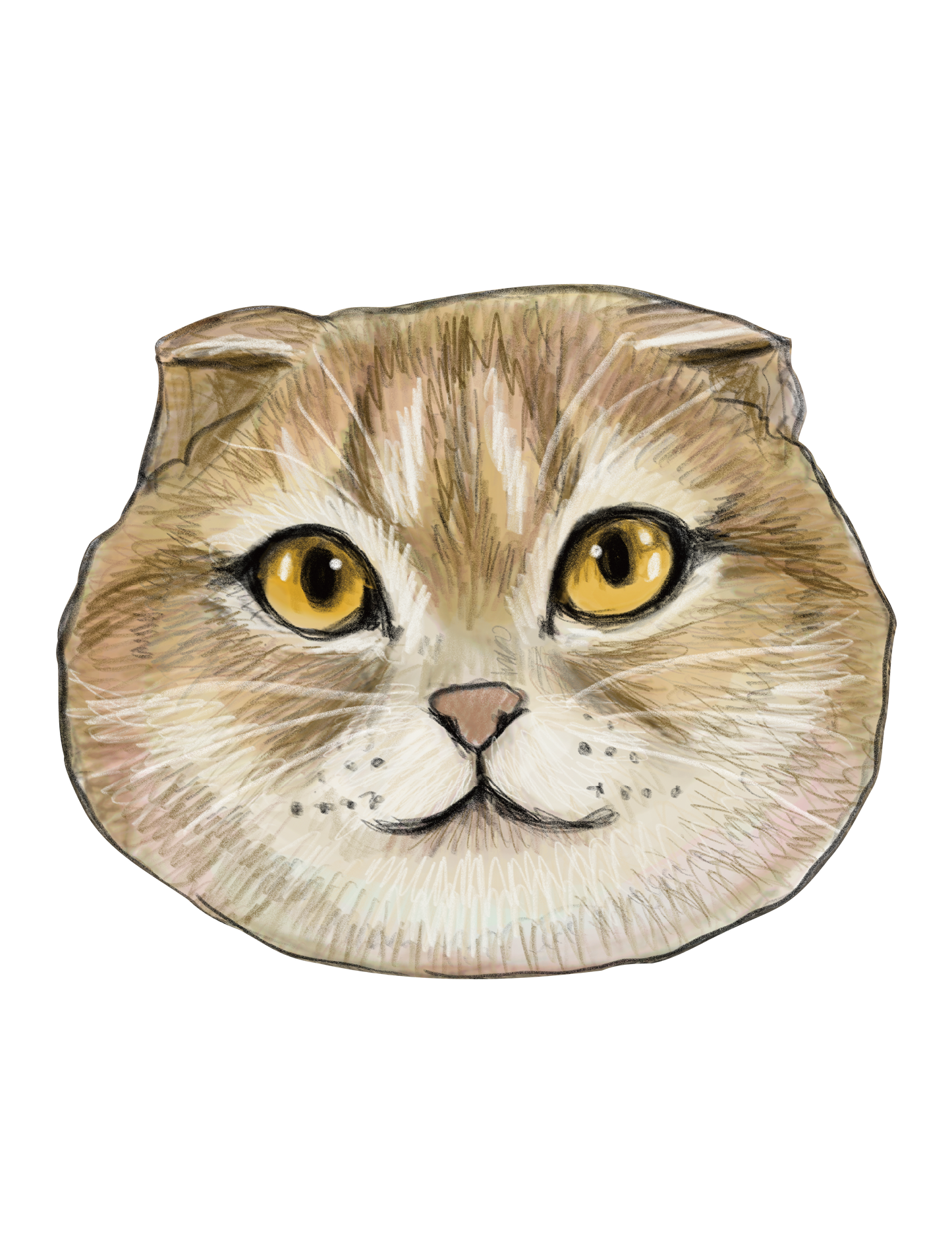 Refined Sketch Cat_scottishfold