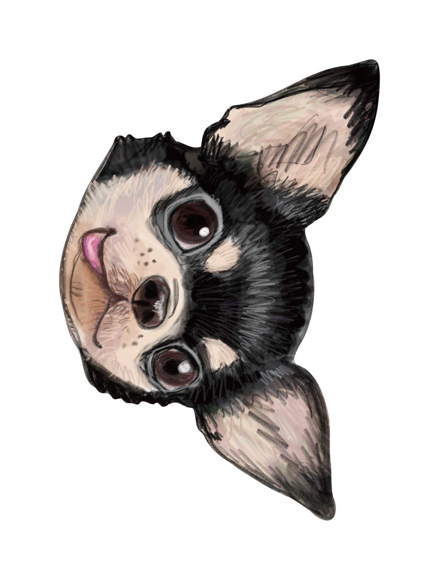 Refined Sketch Dog_chihuahua
