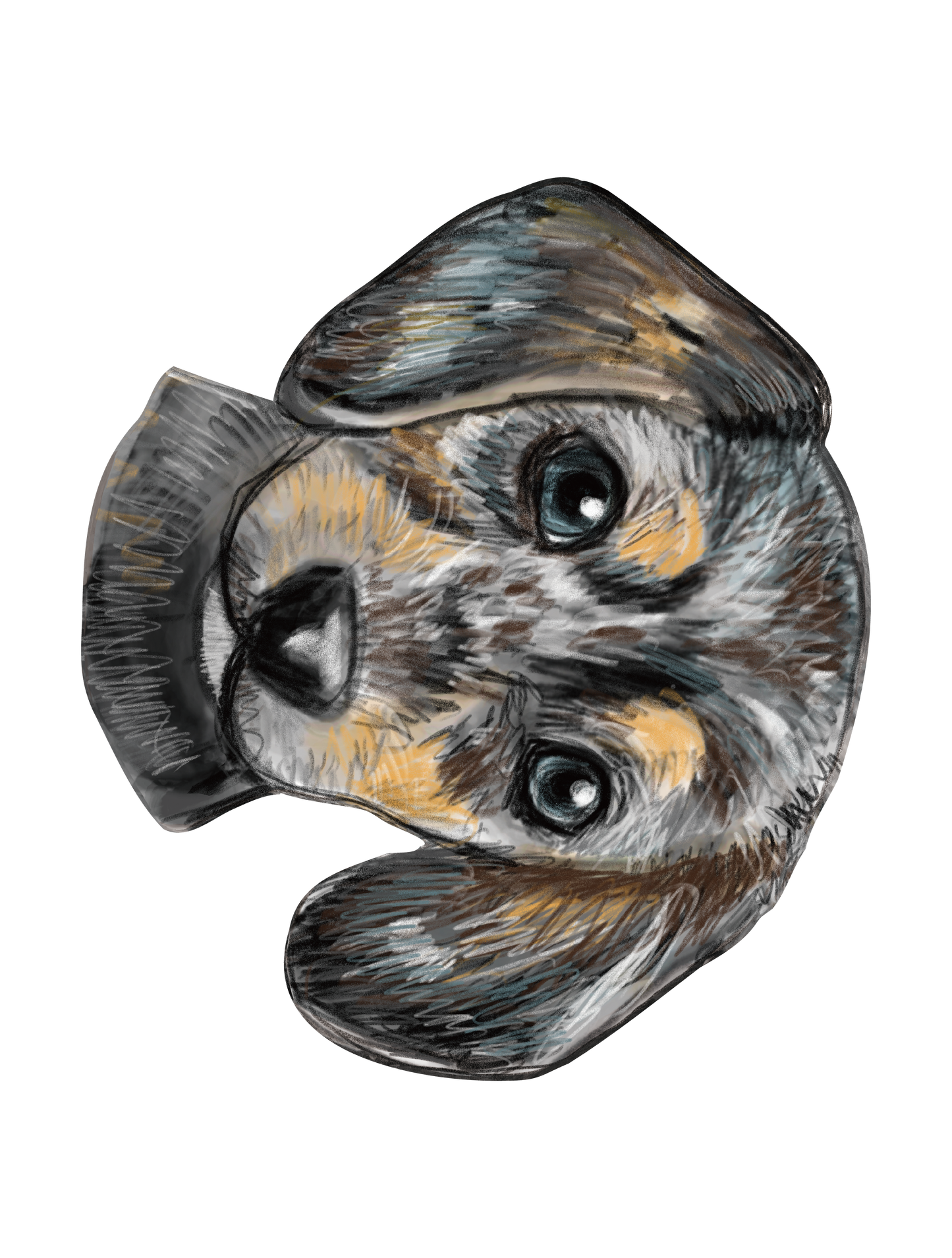 Refined Sketch Dog_dachshund