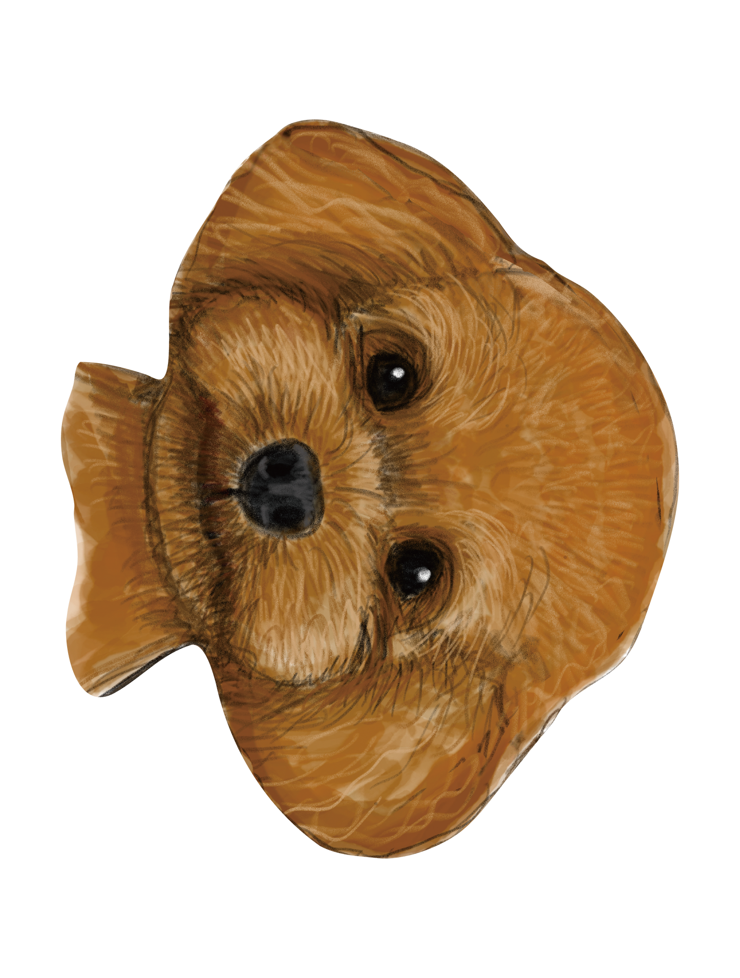 Refined Sketch Dog_toypoodle