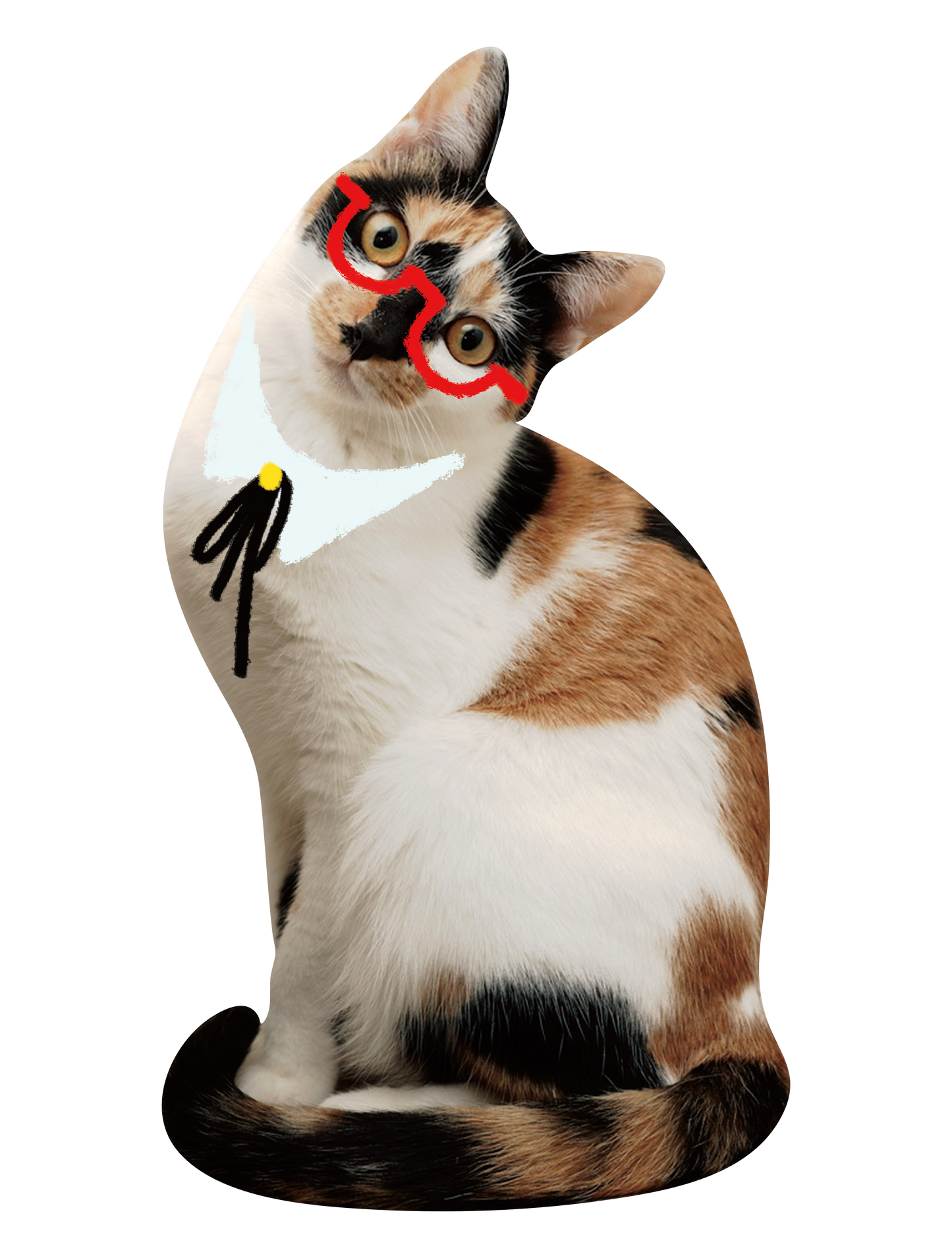 Drawn on Cats_01