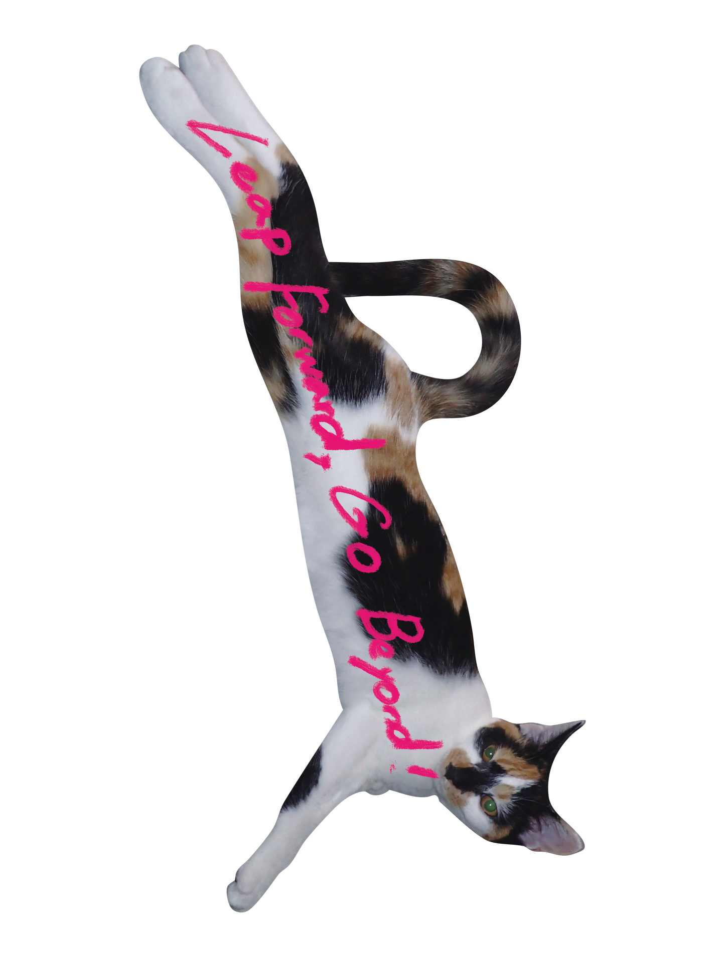 Drawn on Cats_03