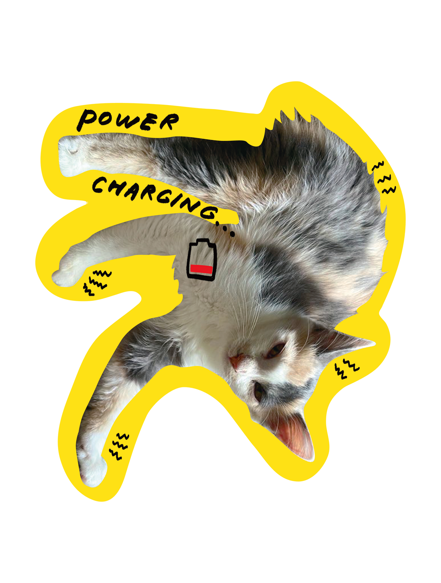 Drawn on Cats_04
