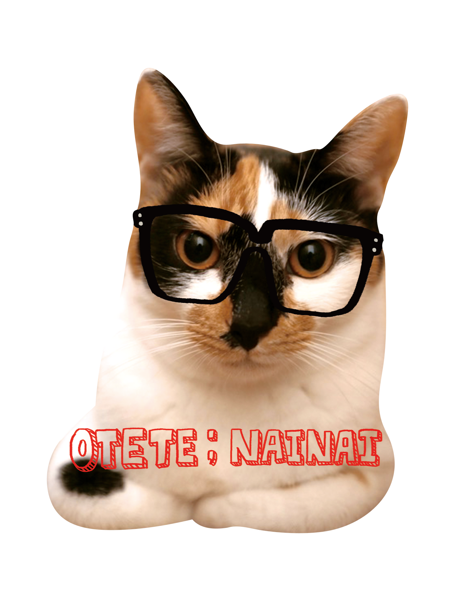 Drawn on Cats_06