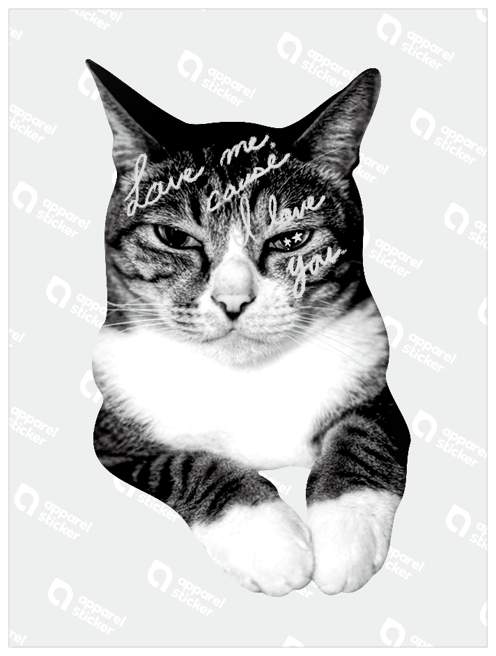 Drawn on Cats_07