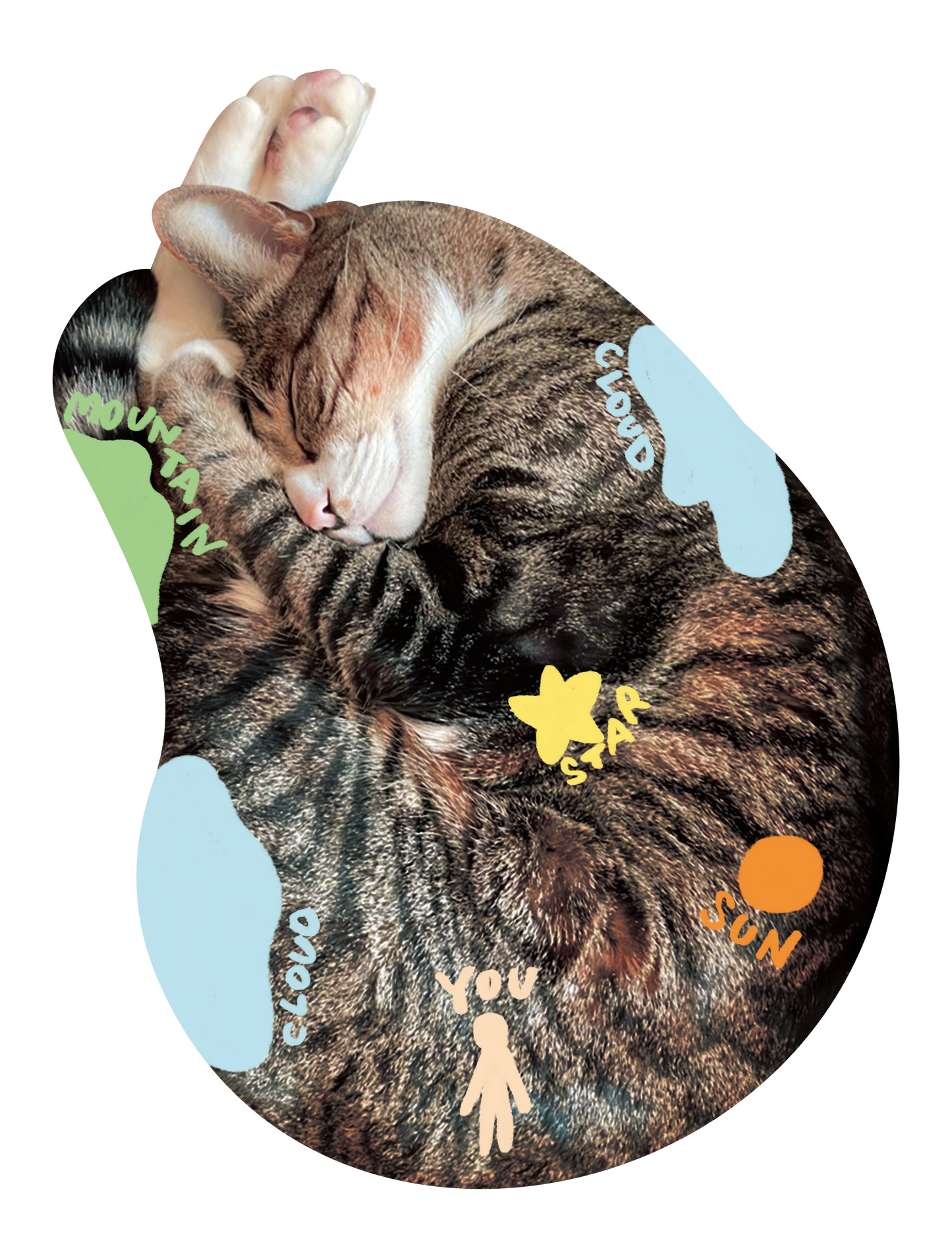 Drawn on Cats_10