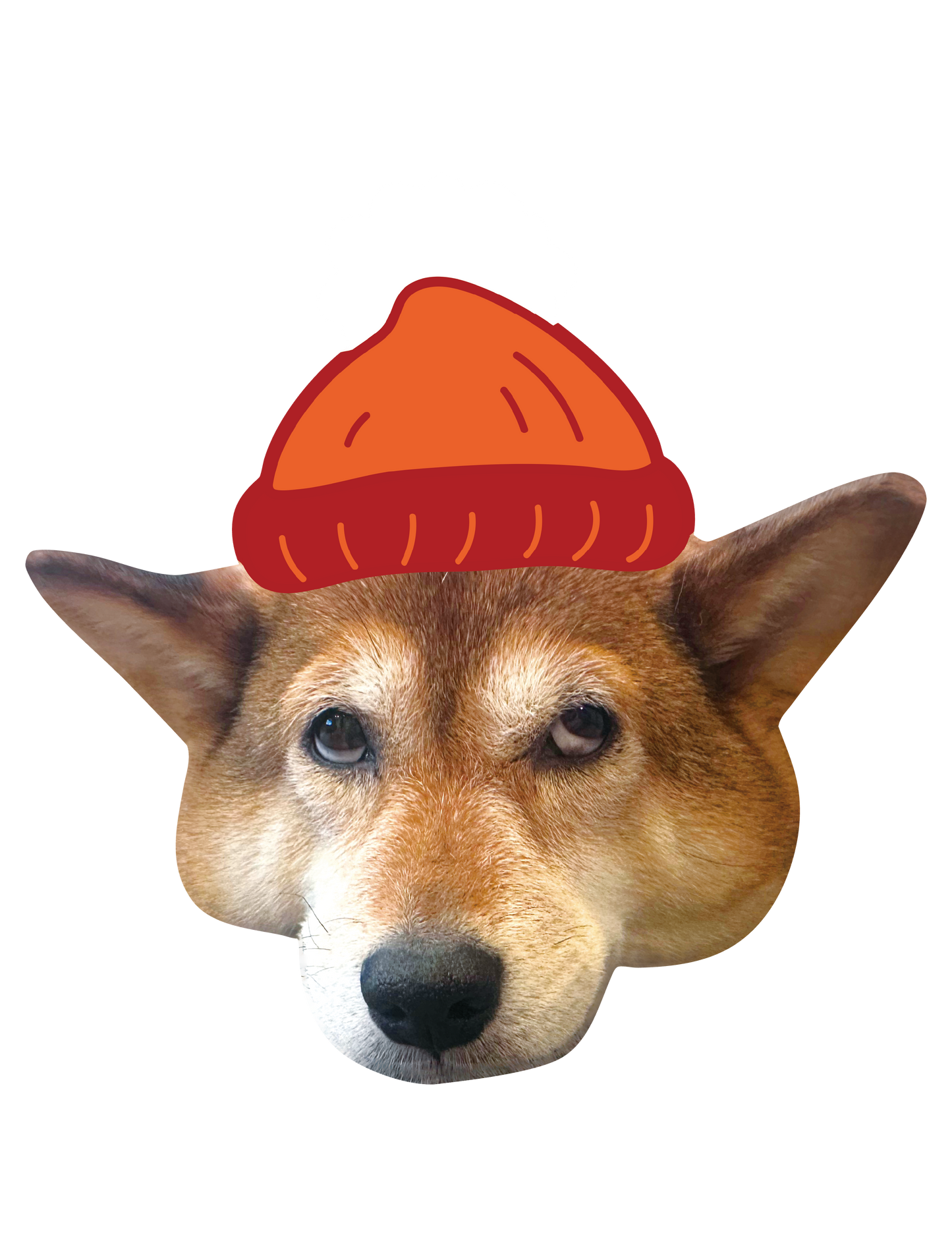 Drawn on Shibainu_02