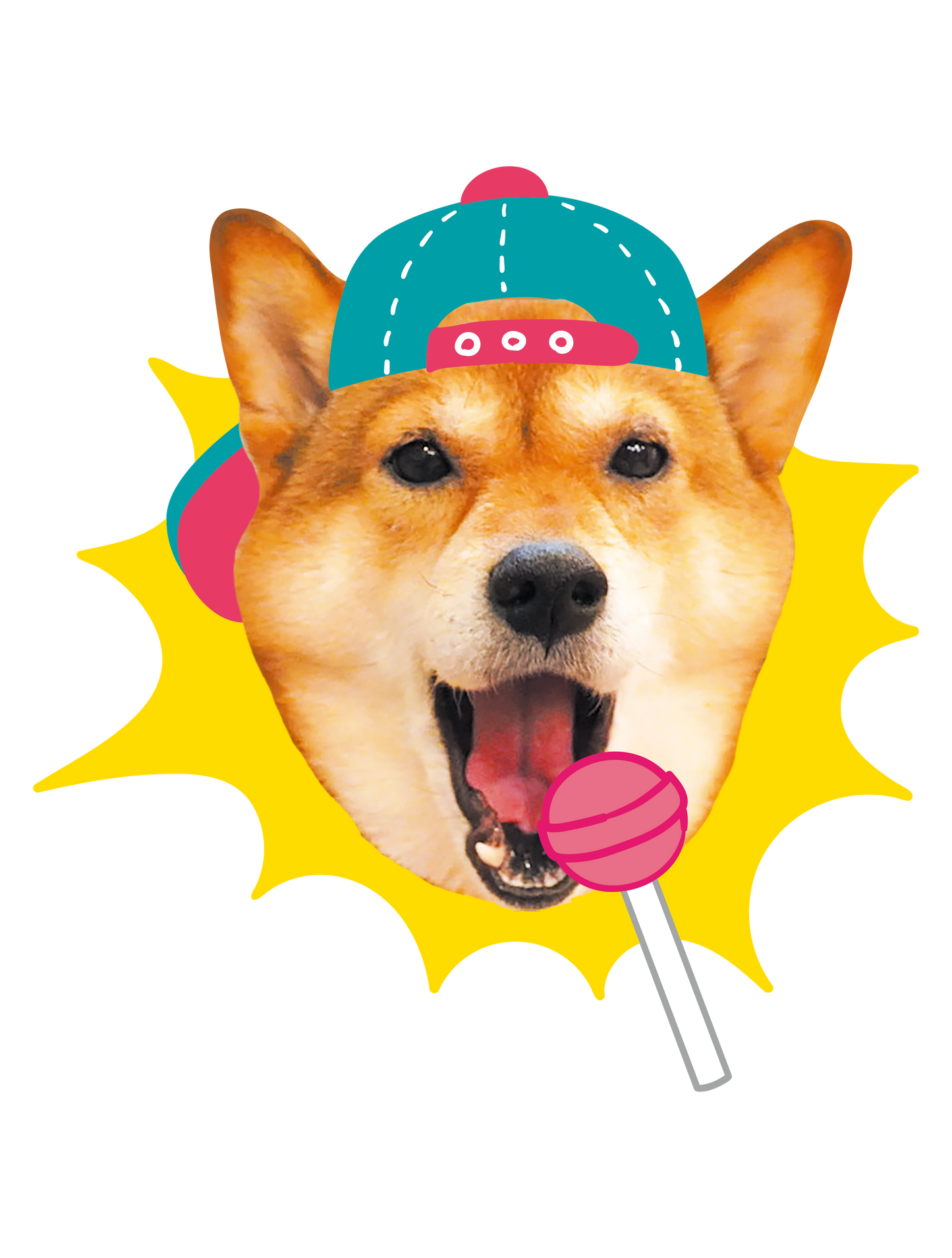 Drawn on Shibainu_03