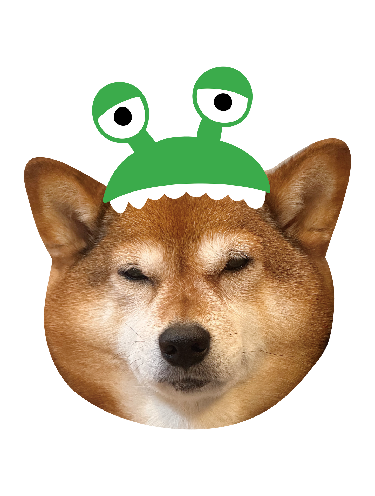 Drawn on Shibainu_04