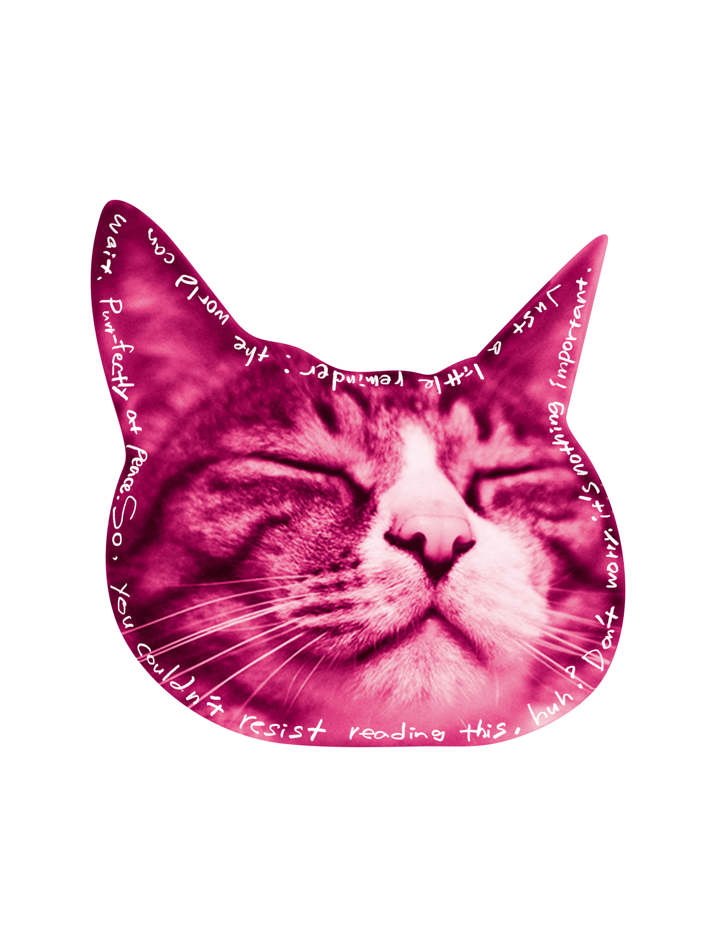 Drawn on Cats_08