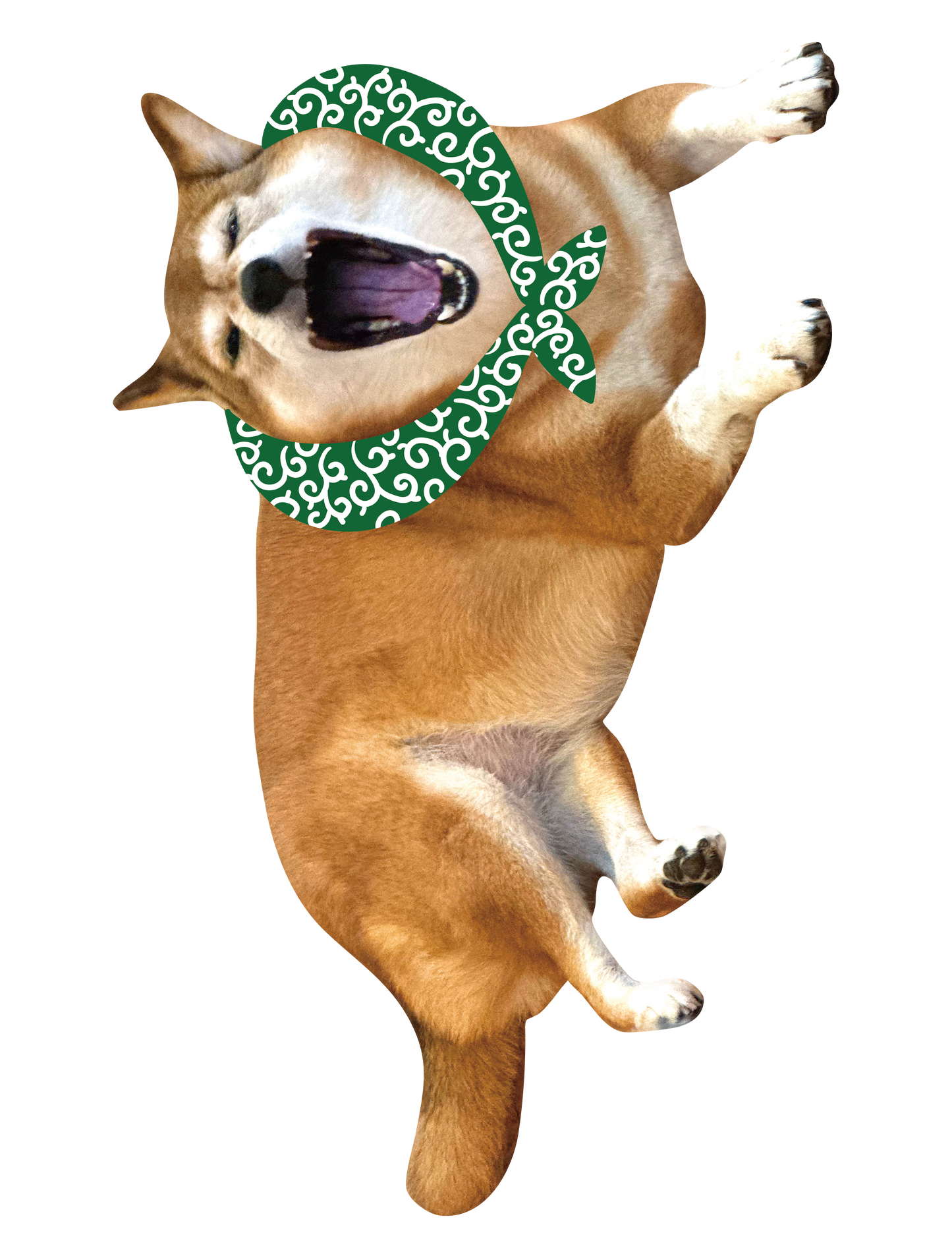 Drawn on Shibainu_08