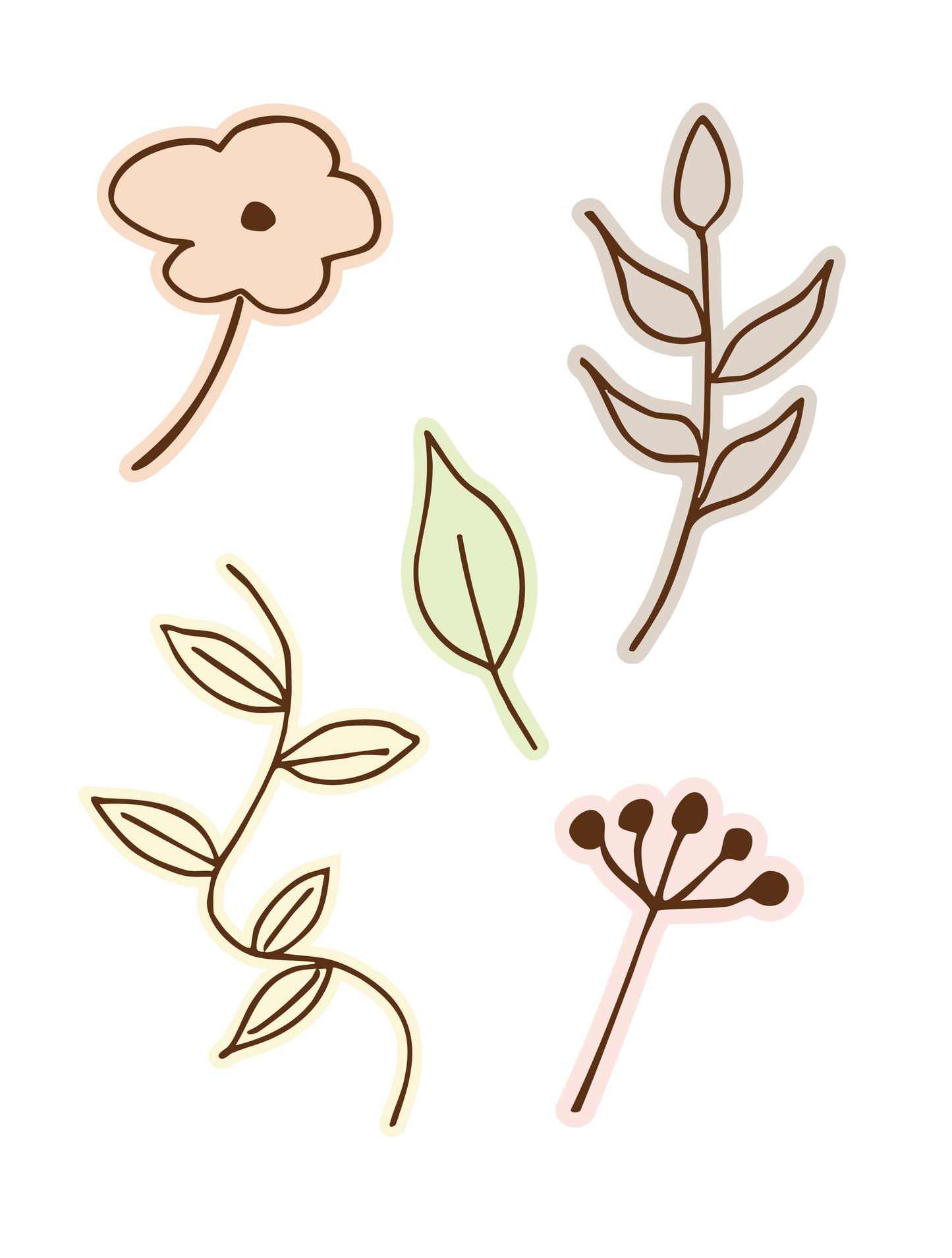 植物手描き_01