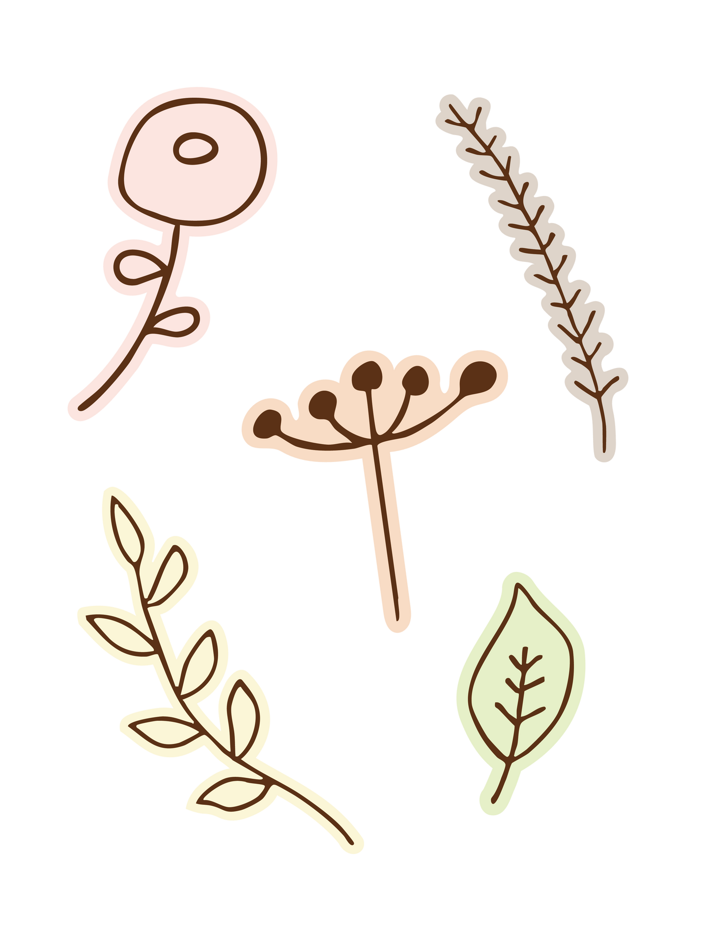 植物手描き_02