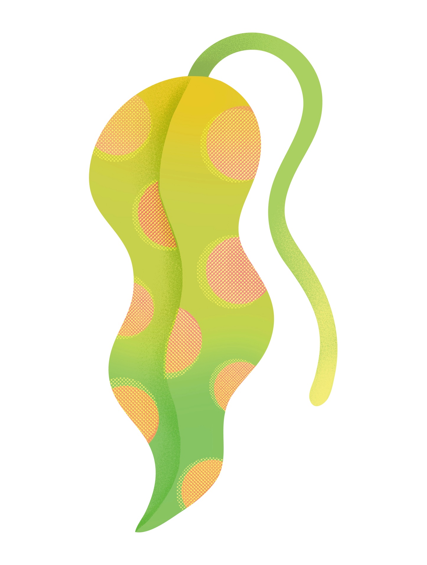 植物_01