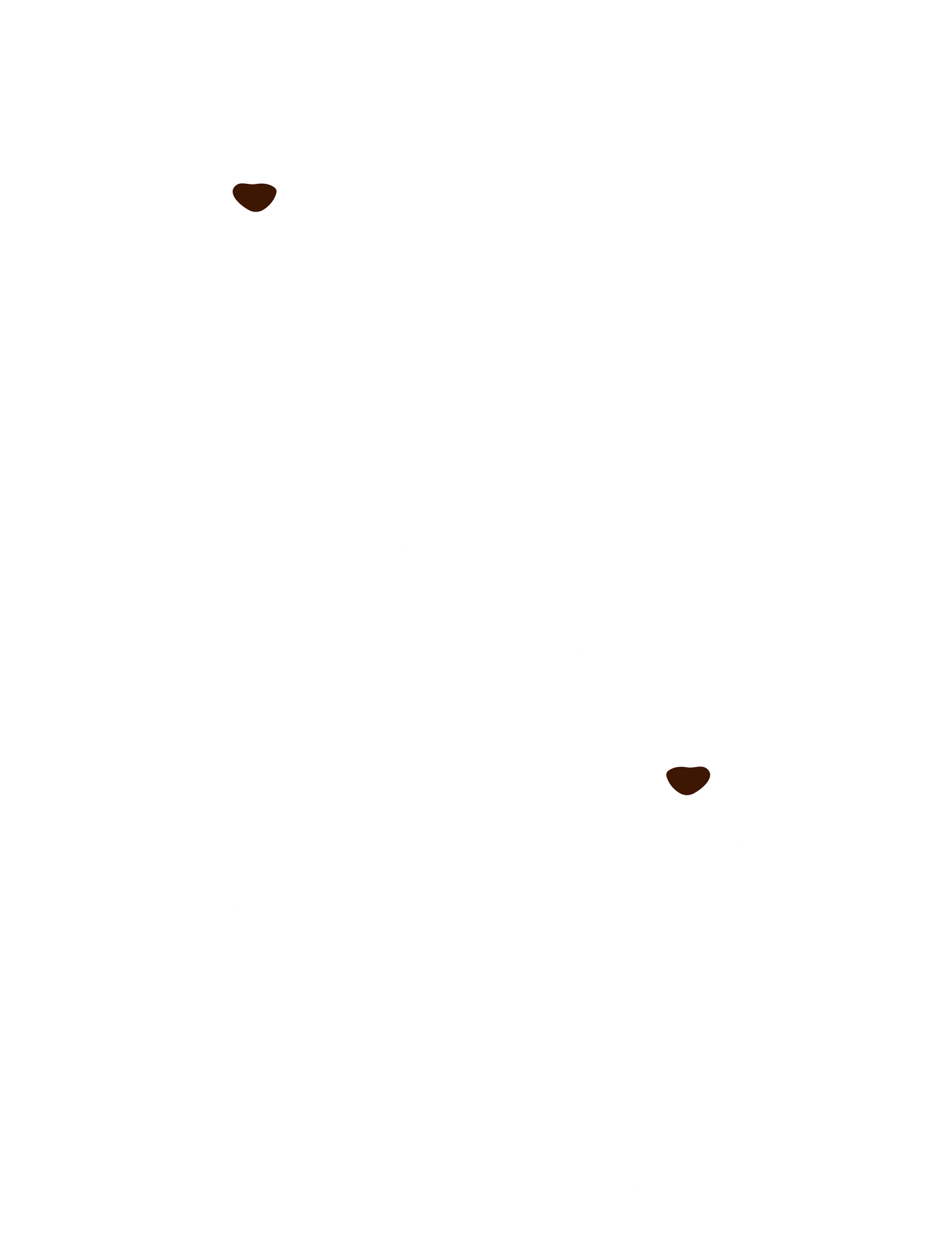 シンプル犬猫ミニ_ビション
