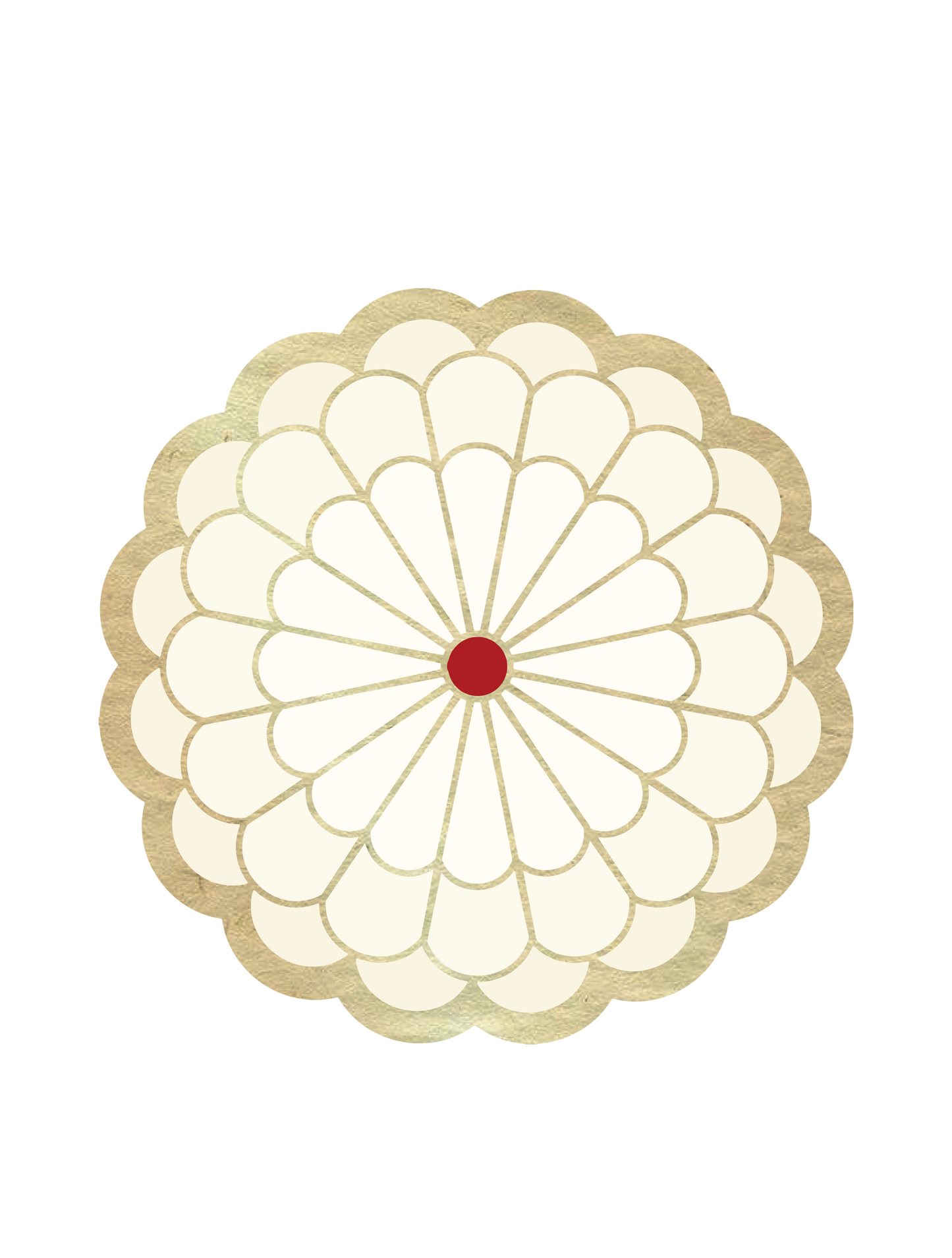 和柄_白菊