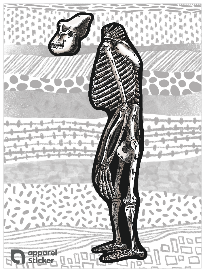 化石_アウストラロピテクス