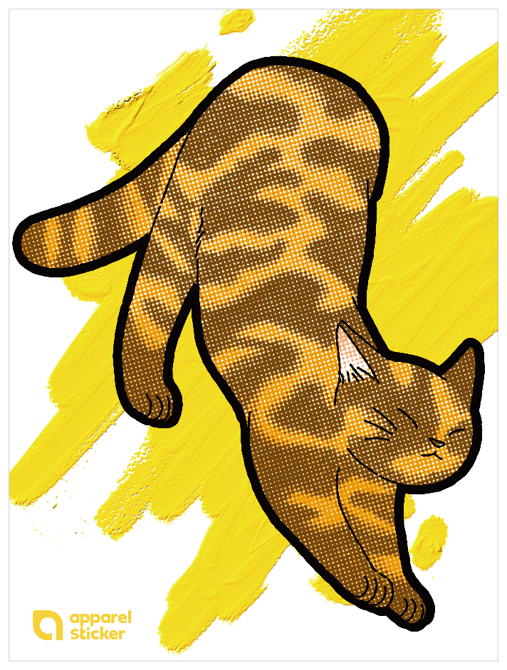 キャットT_雑種サビ