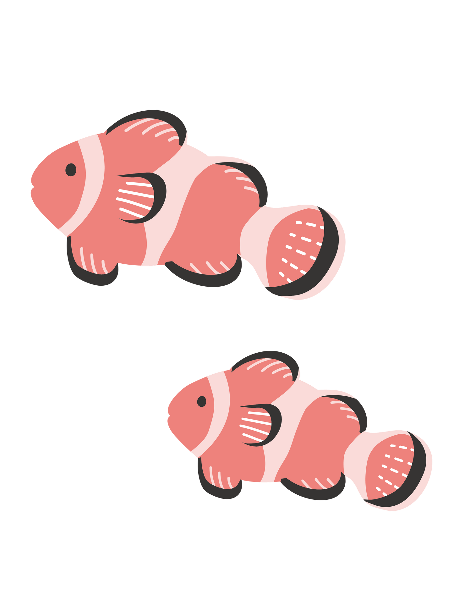 海の生き物_クマノミ