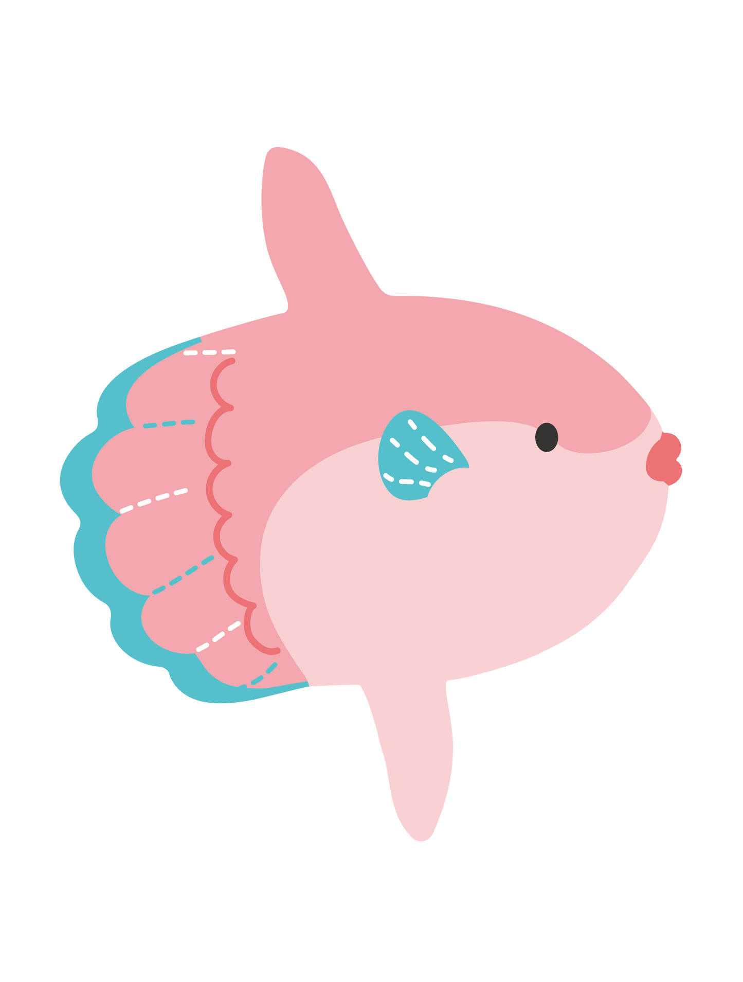 海の生き物_マンボウ