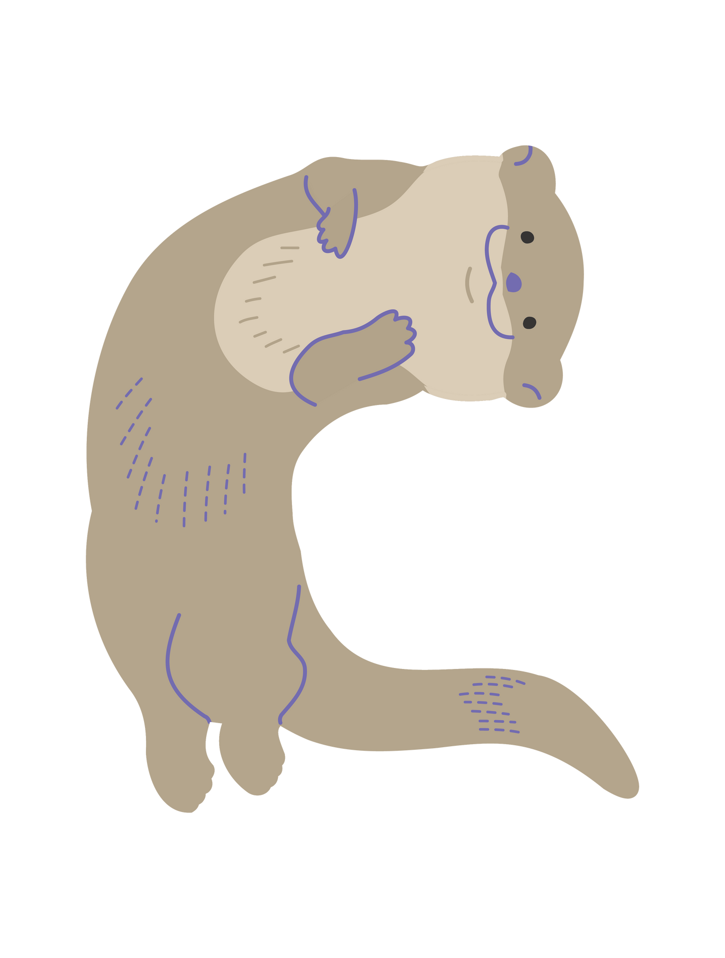 海の生き物_カワウソ