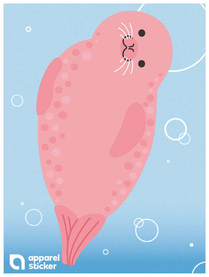 海の生き物_アザラシ