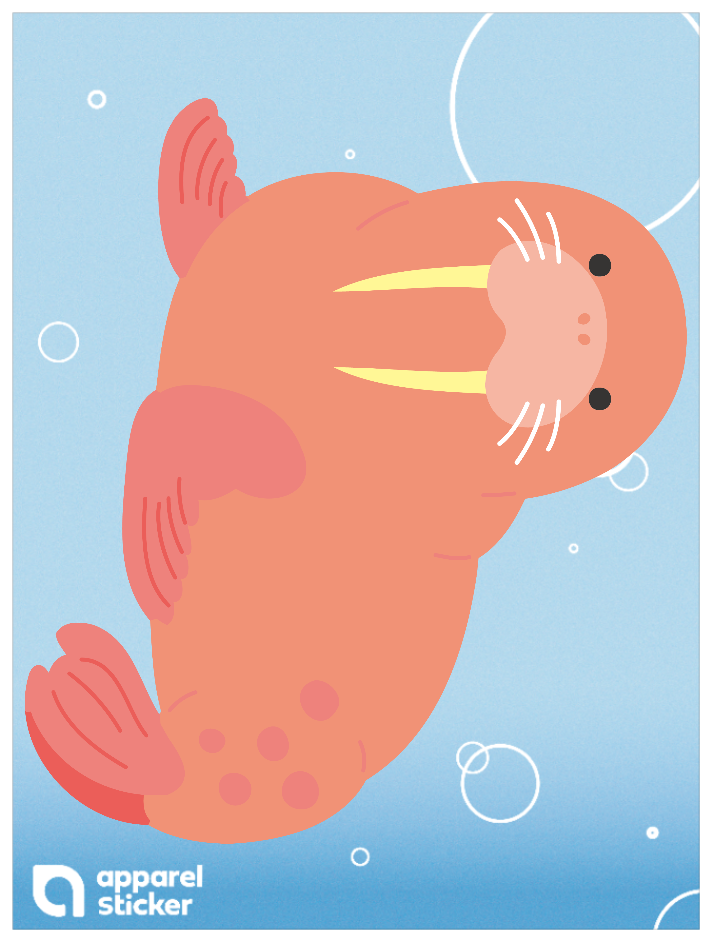 海の生き物_セイウチ