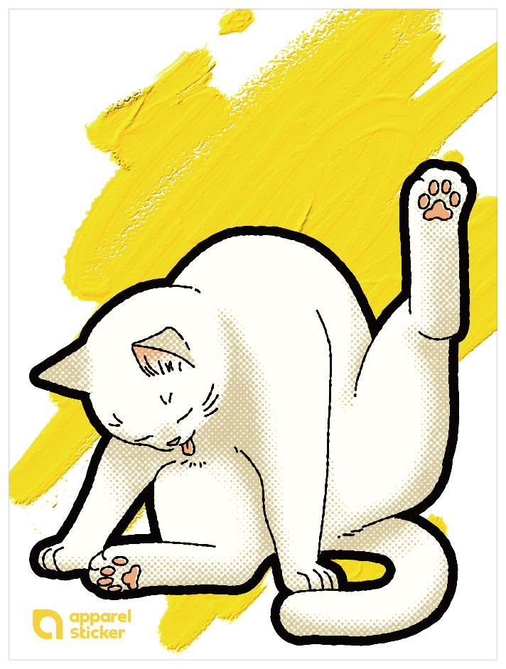 キャットT_雑種白