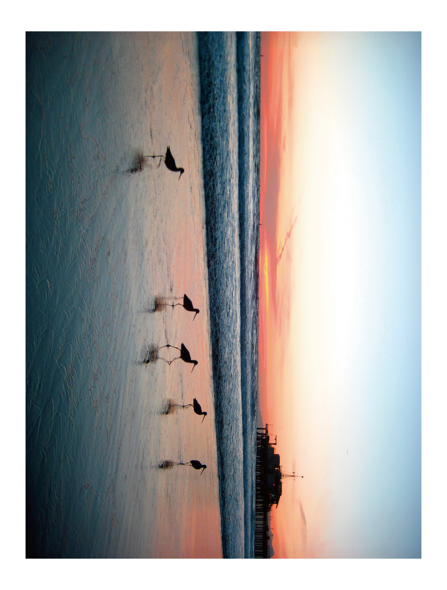 QMO Photo_USA_09