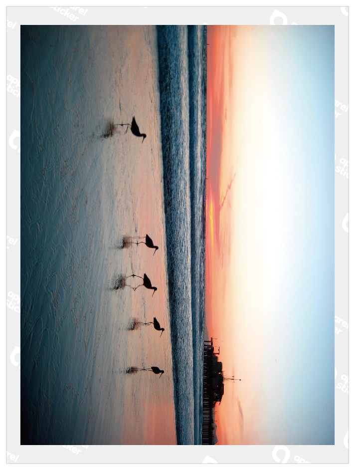QMO Photo_USA_09