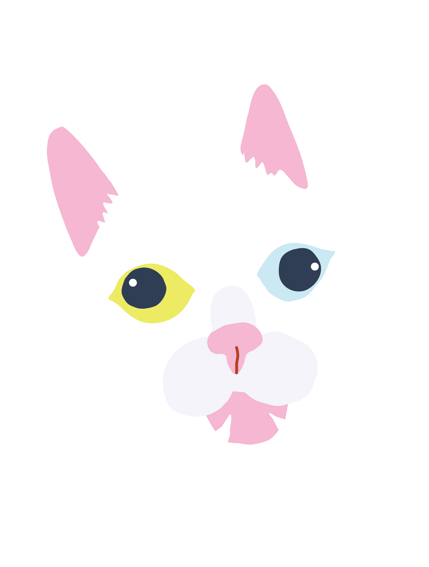 白猫