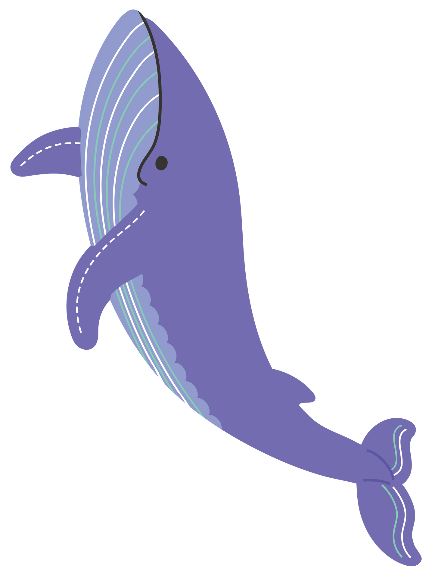 海の生き物_クジラ