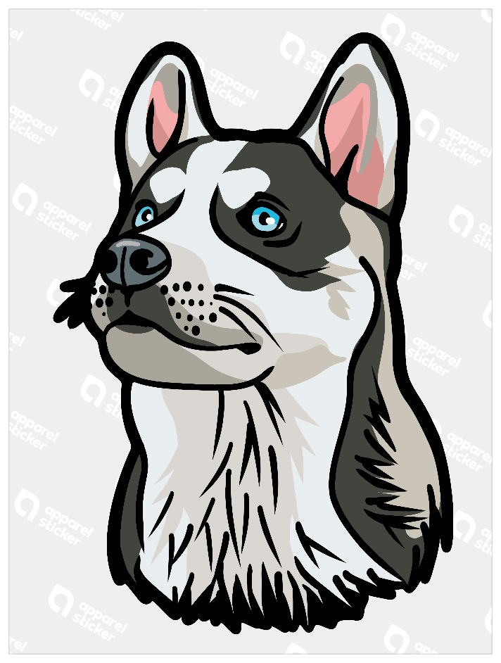 シベリアンハスキーd