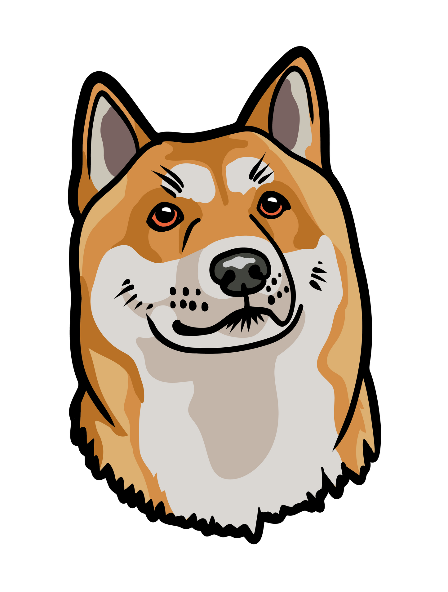 柴犬d