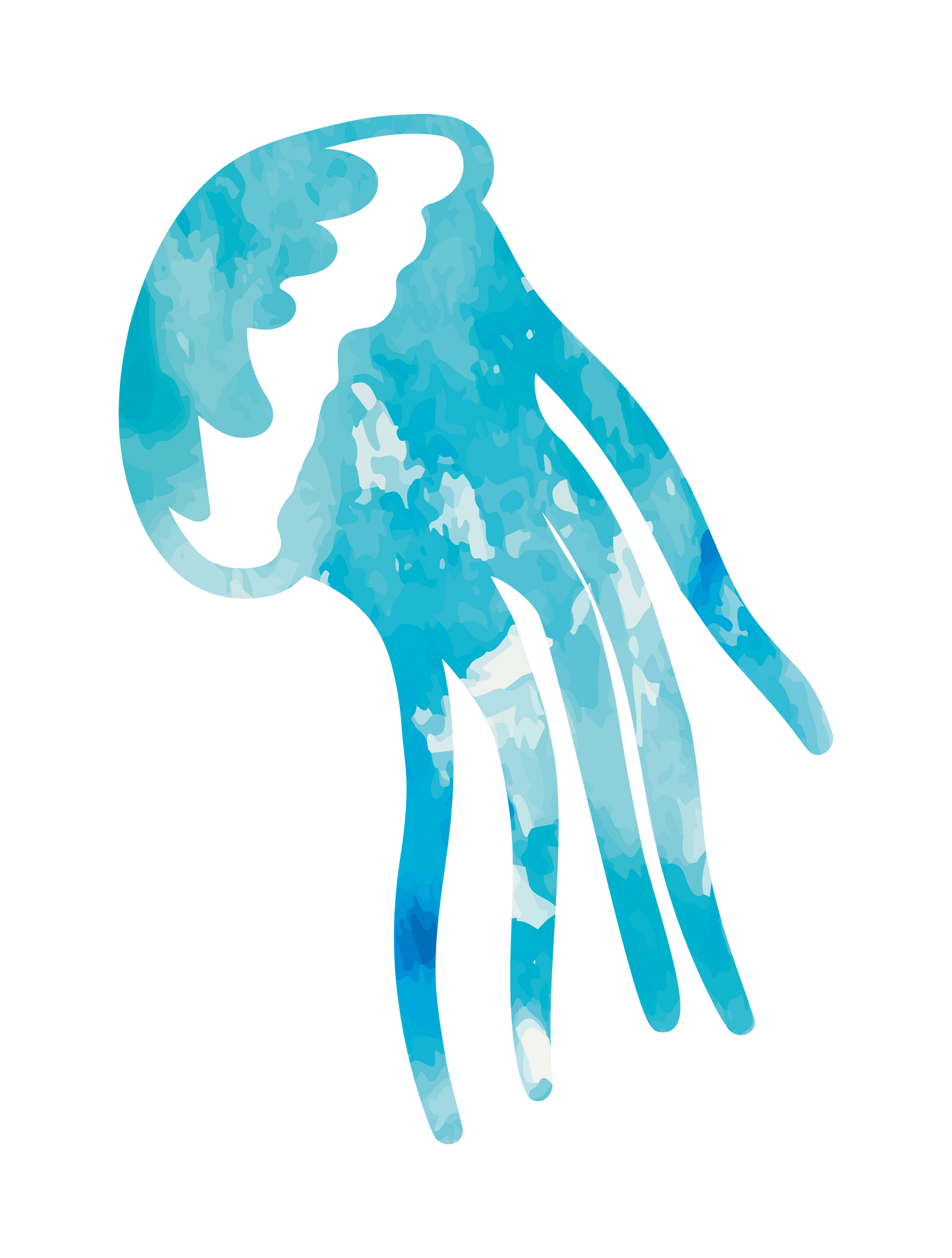 クラゲ