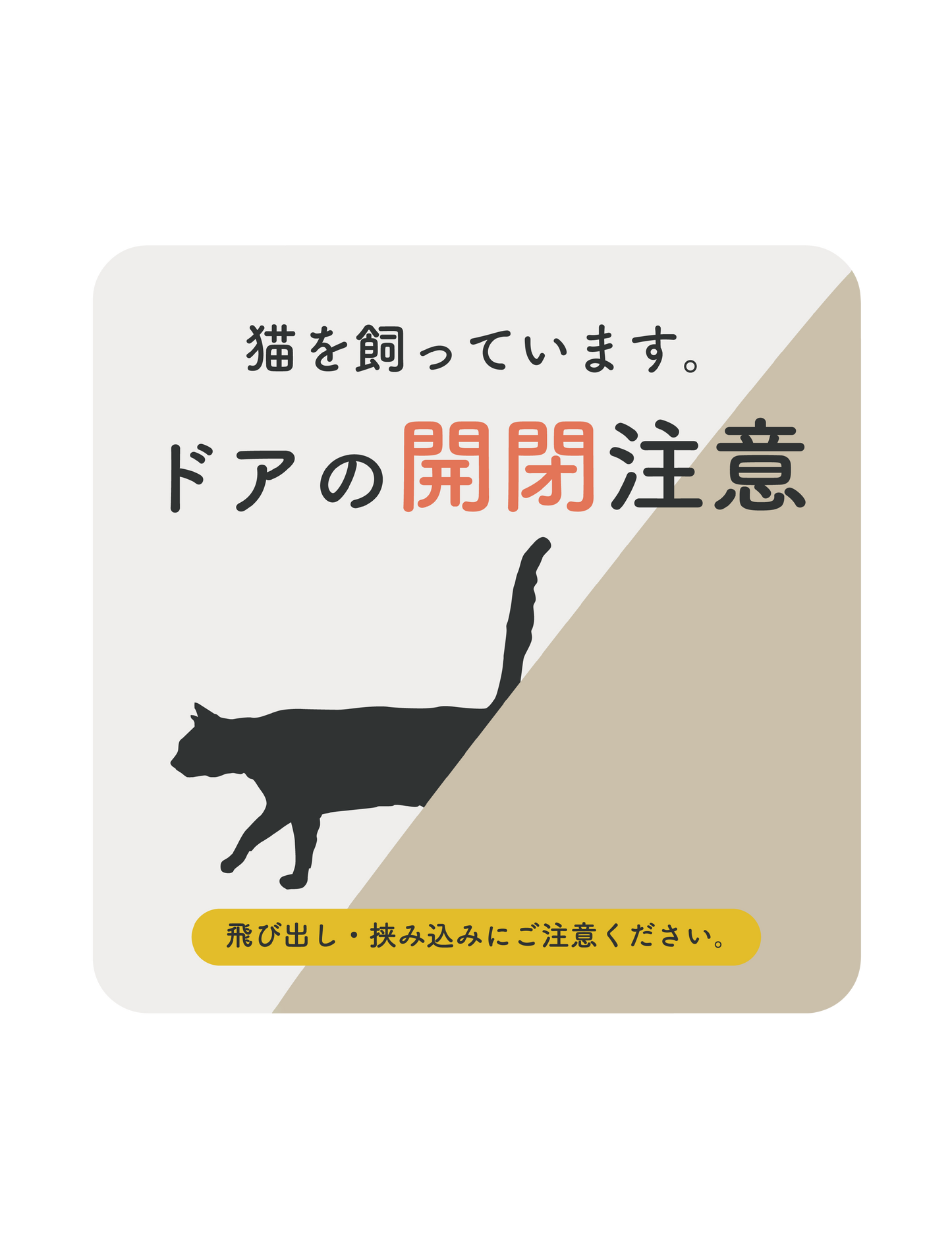 猫を飼っています