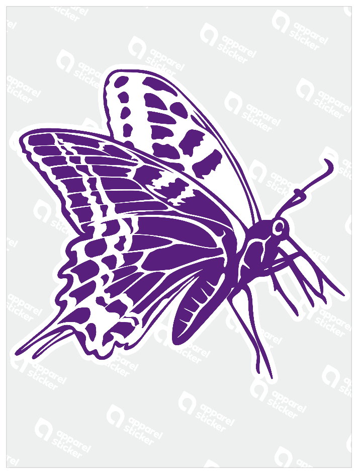 カラー昆虫_チョウ