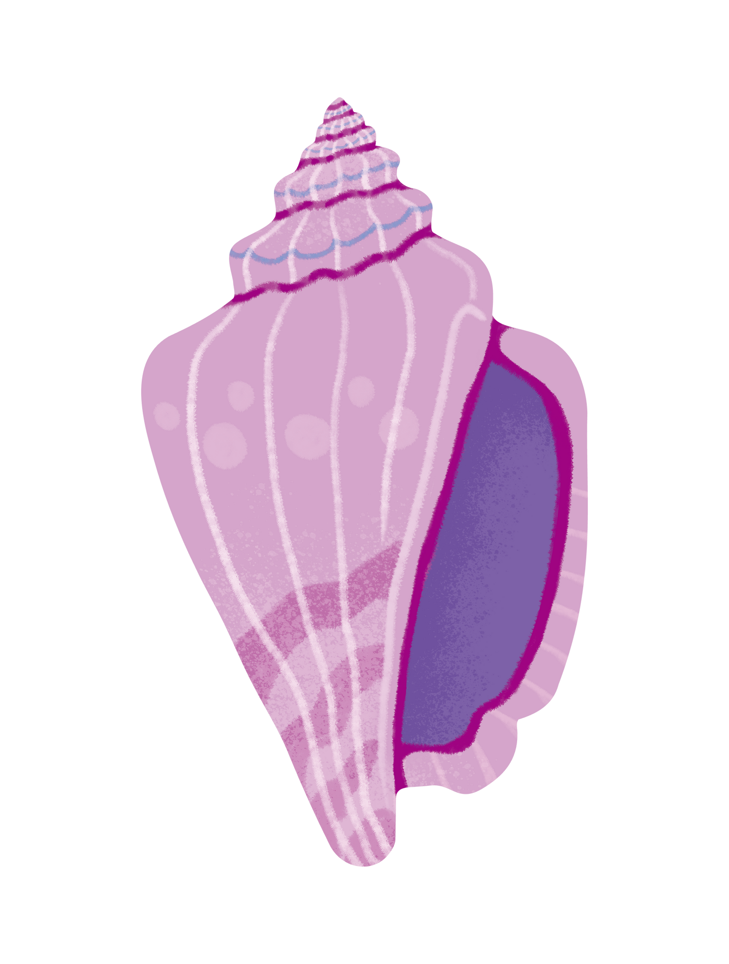 カラフル貝_02