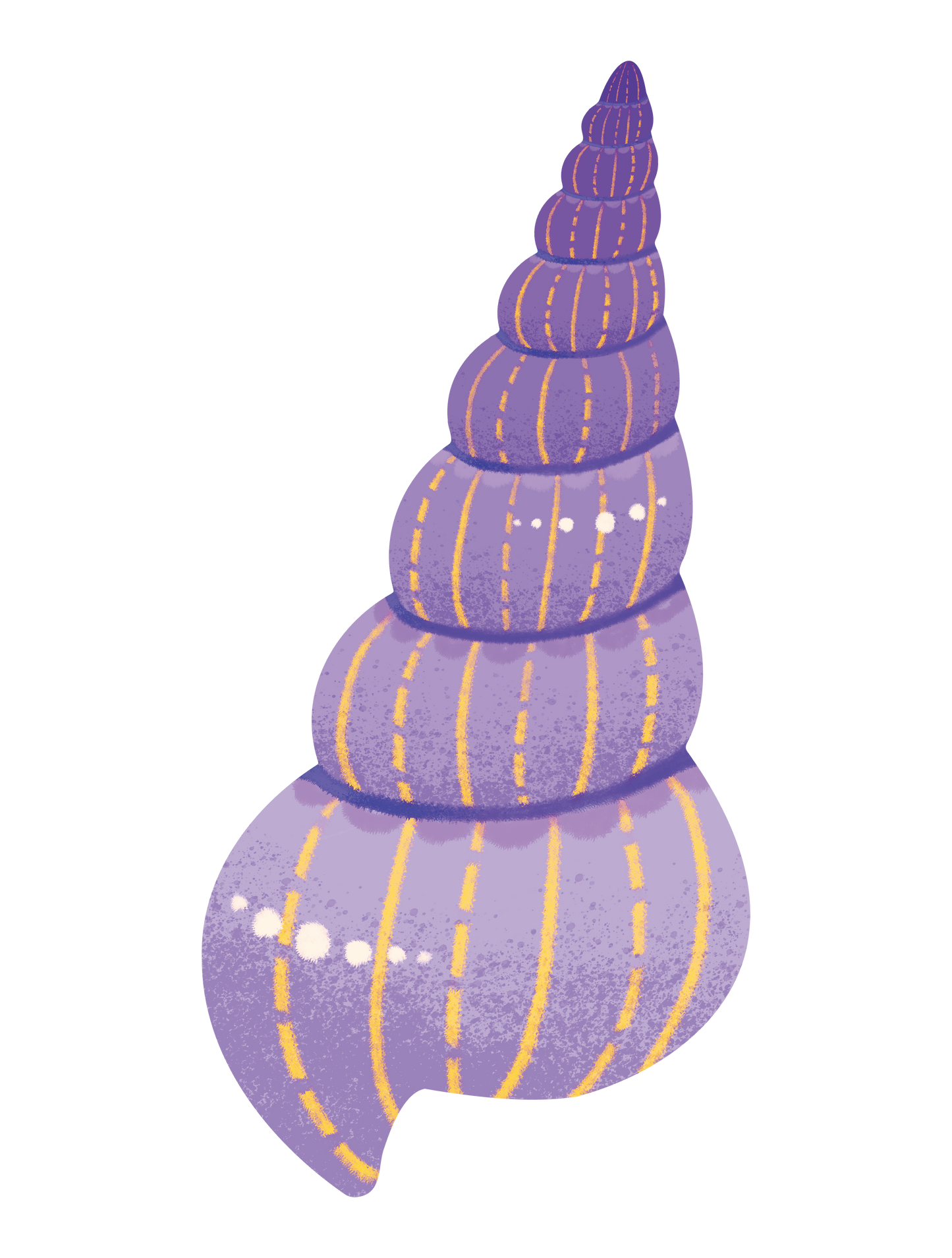 カラフル貝_03