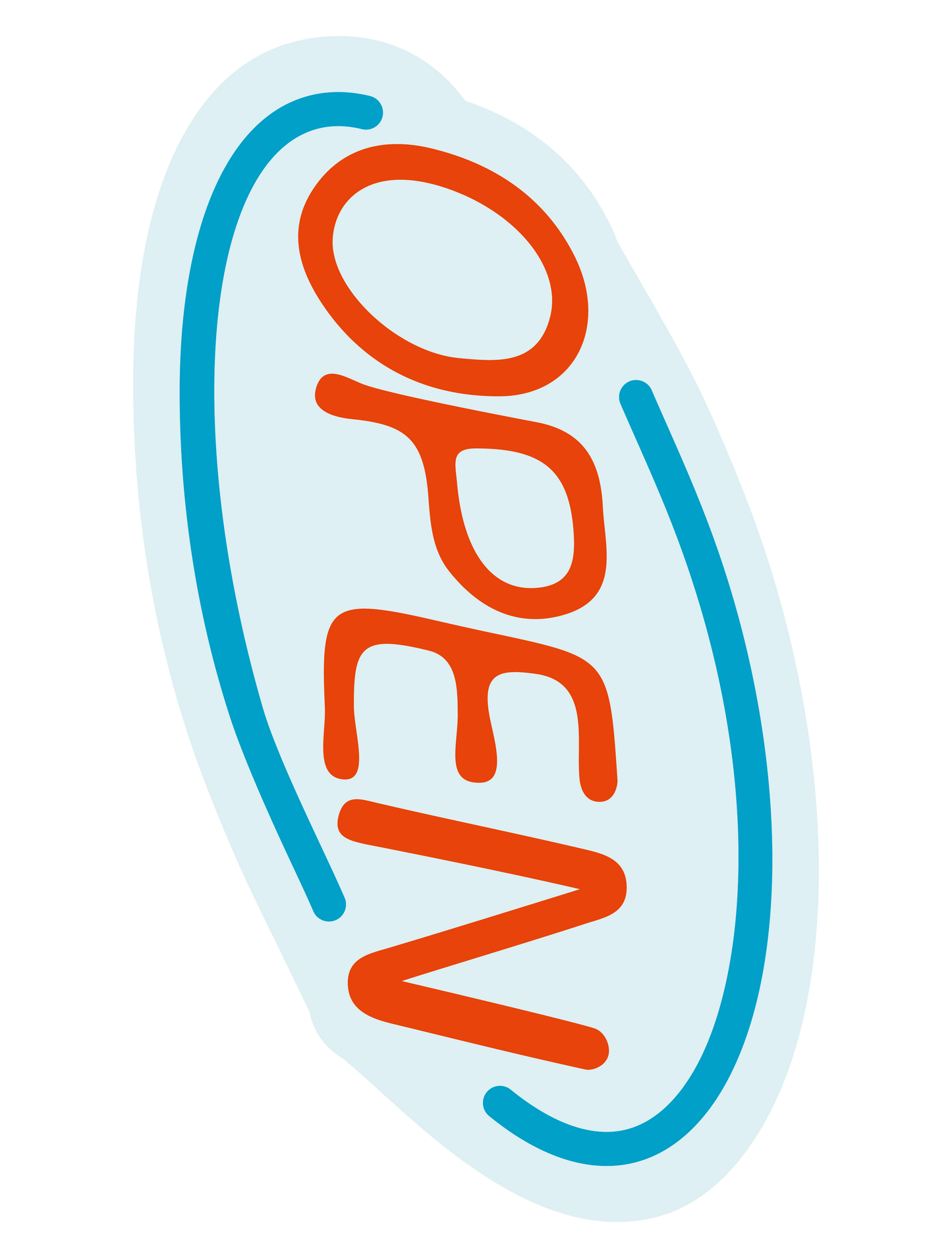 カラーシンプルステッカー_OPEN