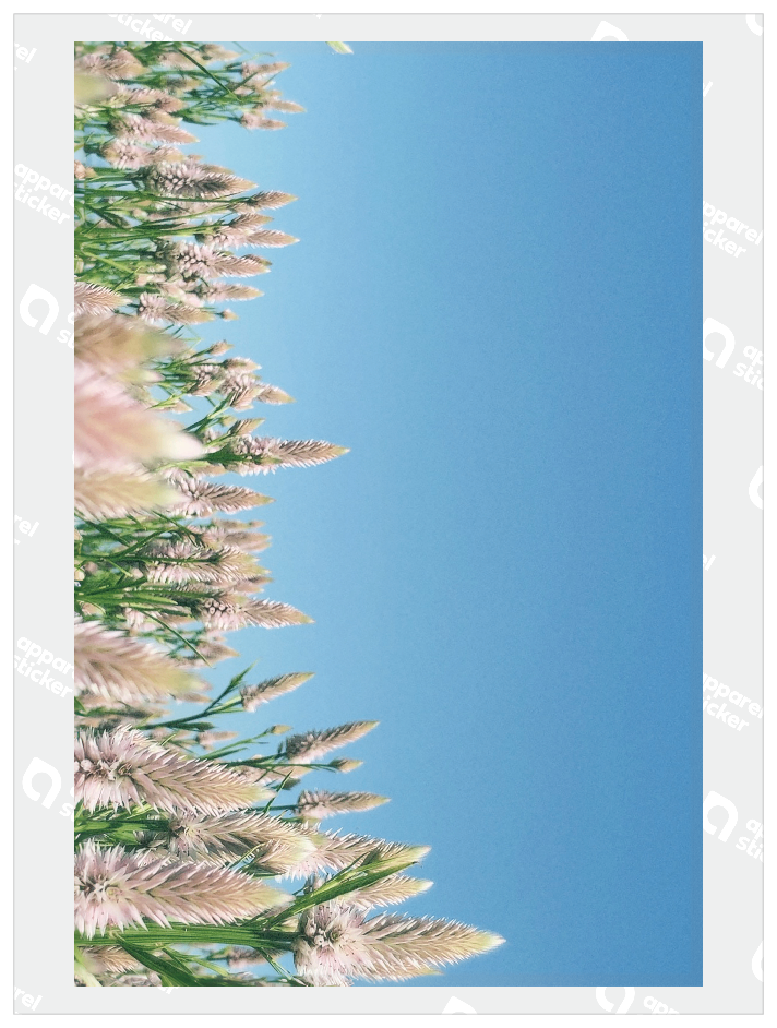 kiwi_フォト_07