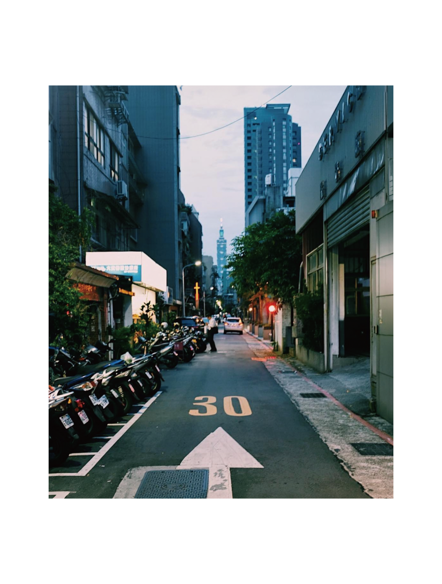 kiwi_フォト_09
