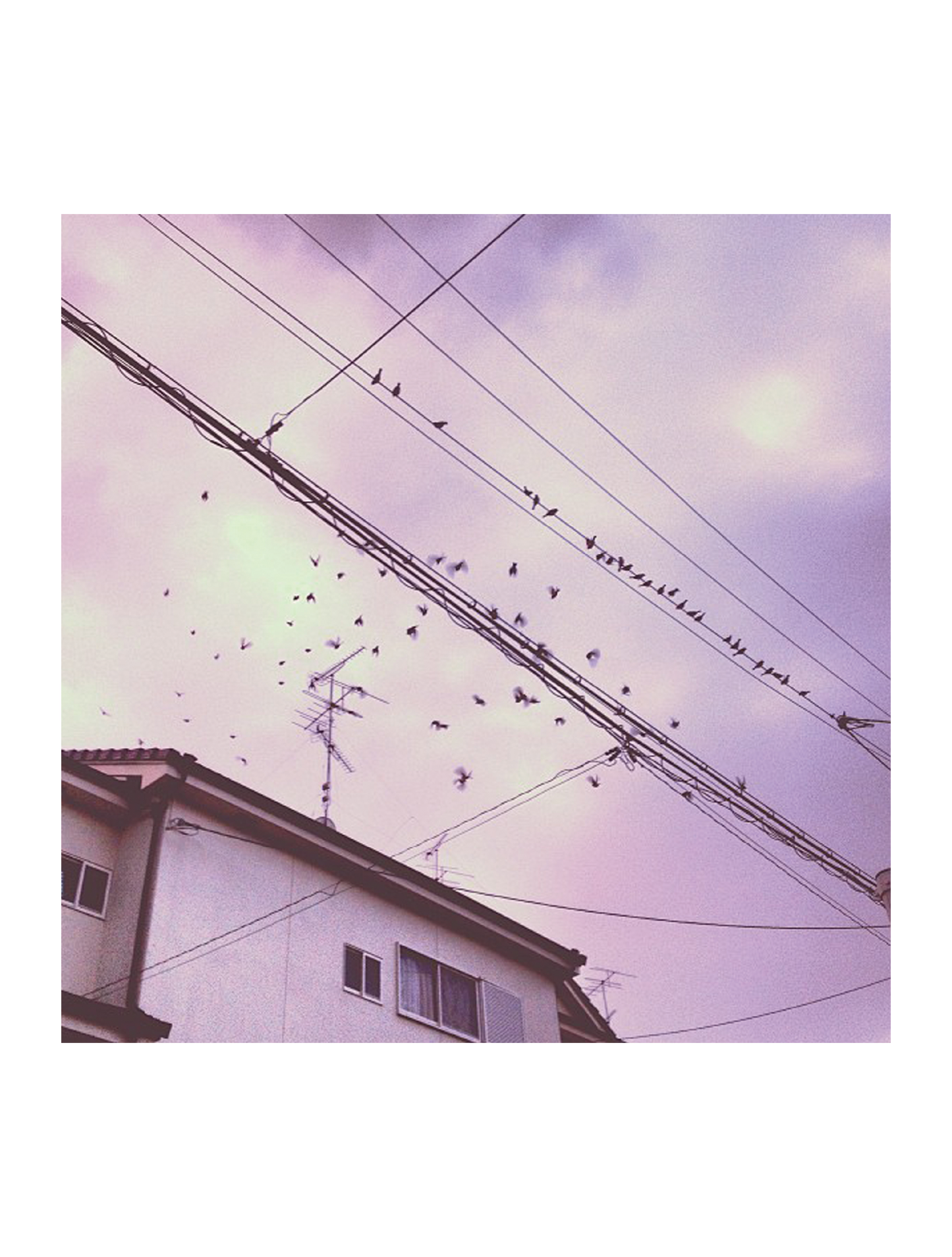 日常_フォト_13