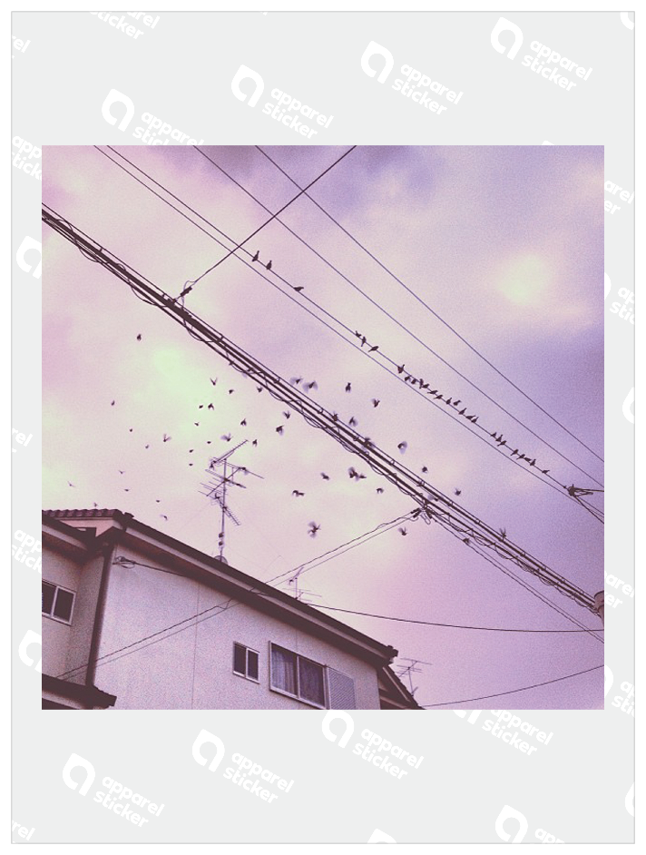 日常_フォト_13