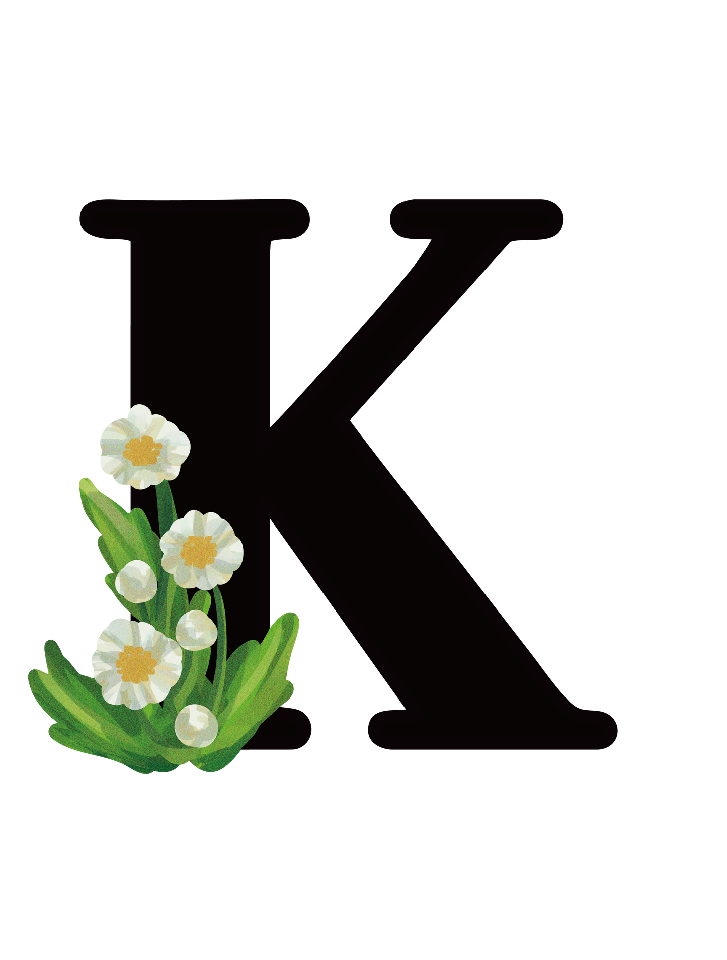ボタニカル_K