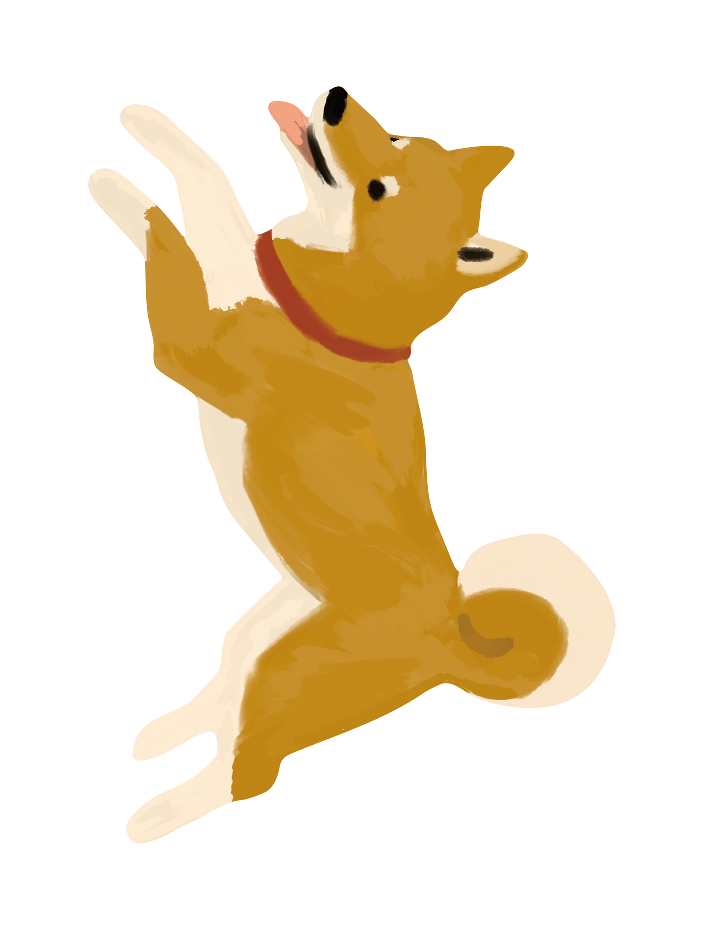 柴犬_01