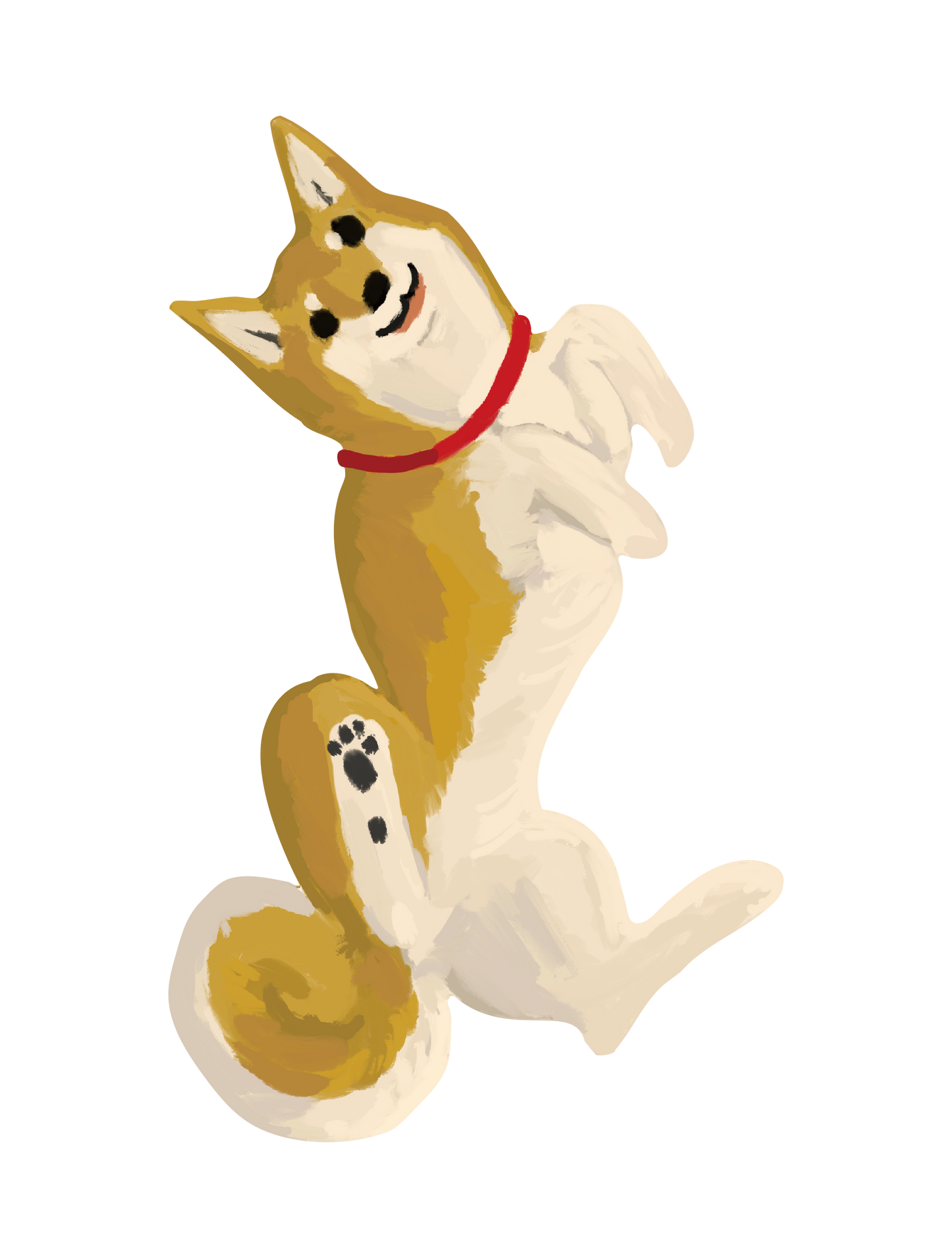 柴犬_02