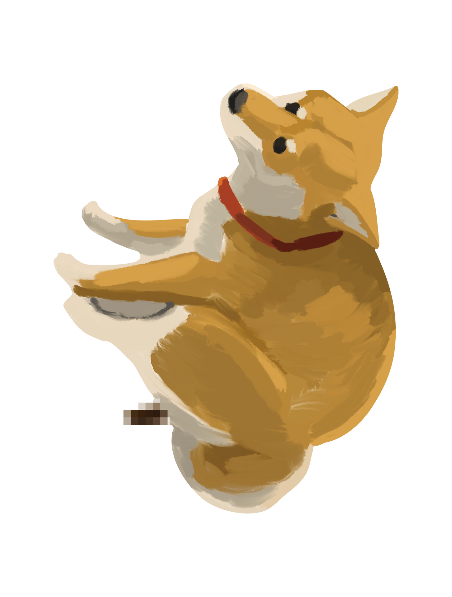 柴犬_03